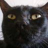 Ccan profil fotoğrafı