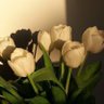 Фото профиля irem çifftcii