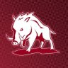 ArkansasBias's profile picture