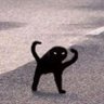 Profilbild von @gatadistorcida