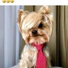 Фото профиля PatriotGrandma