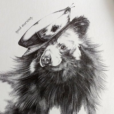Maqbol913's profile picture
