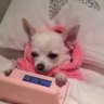 bia's profile picture