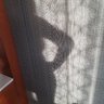 MintPatty's profile picture