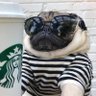doncrispin's profile picture