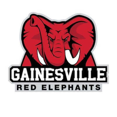goredelephants's profile picture