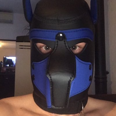 PupBenjyarm's profile picture