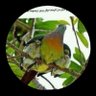 mohamed abdalkarim's profile picture