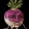 Her Majesty the turnip girl profil fotoğrafı