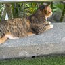 beike profil fotoğrafı
