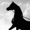 Profilbild von Sultan