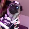 Profilbild von What a World