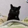 naru's profile picture