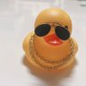 しの🐣's profile picture