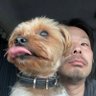 ひろまる's profile picture