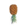 سامان و مریمنامقدس😉🍍🇪🇸's profile picture