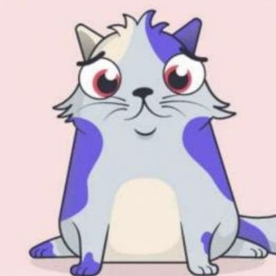 zgjncw2024's profile picture