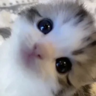 JAEZZANGE's profile picture