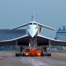 CCCP's profile picture