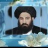 Najibullh ghorbandi's profile picture