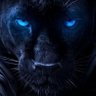 Profilbild von Joe Black