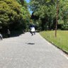 トカダ 的头像