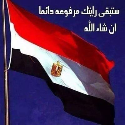 @bent Msr8739's profile picture