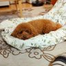 こうちゃん profil fotoğrafı