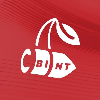 CherryBulletInt's profile picture