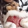 ma-chan's profile picture