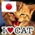FukuokaSoul's profile picture