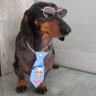 Brenu profil fotoğrafı