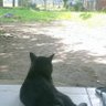 Fakri2341's profile picture