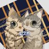 Profilbild von ムスカ