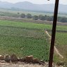 Фото профиля كروز اليمن|krose yemen