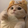 OrangeCat profil fotoğrafı