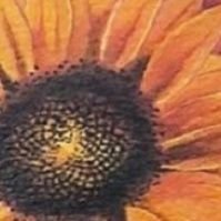 Mara juvencio's profile picture