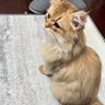watermelonSeeds profil fotoğrafı