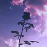Humayun's profile picture