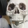 リャックス's profile picture