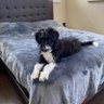 Tania 的头像