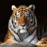 Фото профиля jlopez