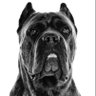 Tomasz's profile picture
