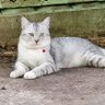 Profilbild von ปีระกา​ พาม่วน🤣🤣🤣