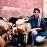 Savitha Nagabhushan's profile picture