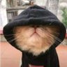 Theuri's profile picture