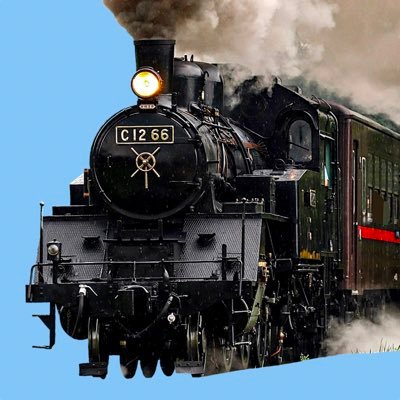 SLkiwami_C1266's profile picture