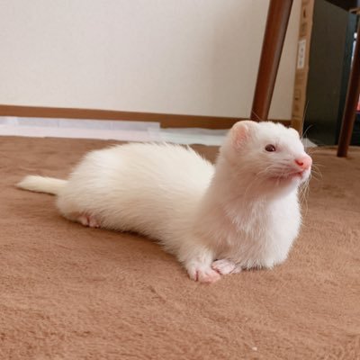 ナノ🐁's profile picture
