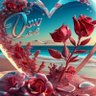 Qadeer's profile picture