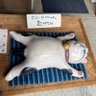 Фото профиля あきちんとん